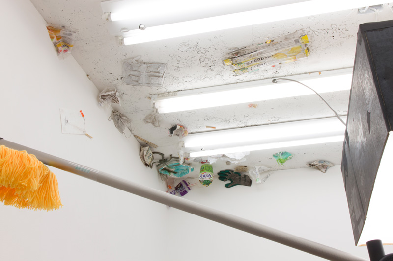 PUBLIC-AND-FREEDOM-Ⅱ14